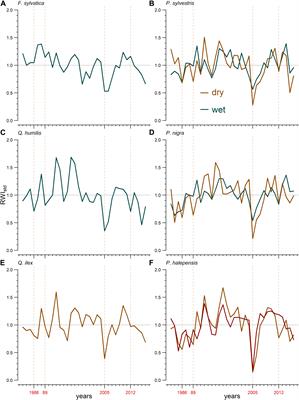 Tree Species Are Differently Impacted by Cumulative Drought Stress and Present Higher Growth Synchrony in Dry Places
